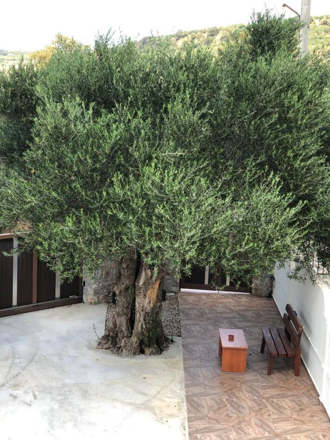 Creta Galini House Villa Sziríli Kültér fotó